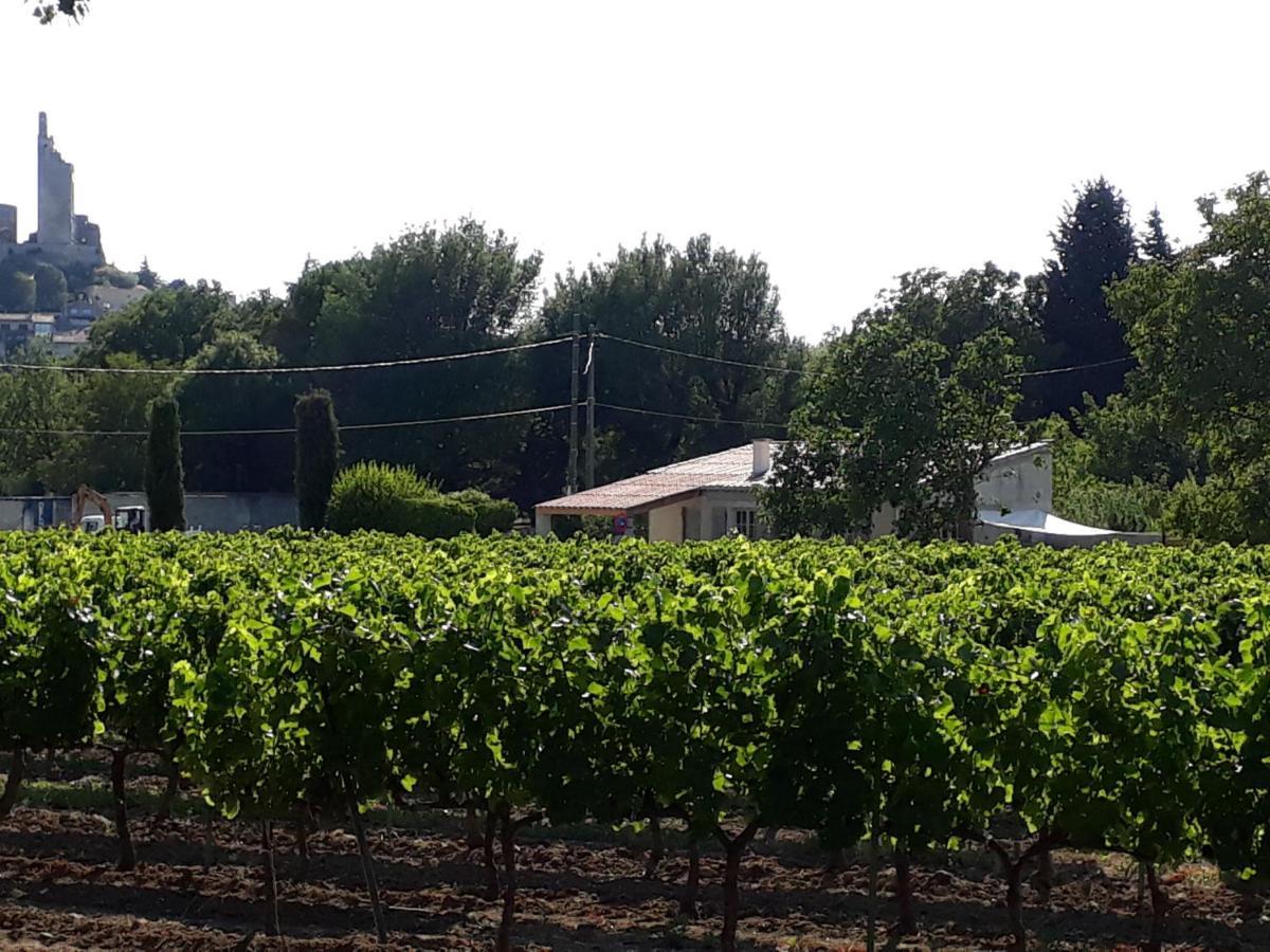 La Petite Maison Dans Les Vignes Chamaret Exterior foto